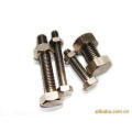 Comum Hex Bolt com nozes e Wishers